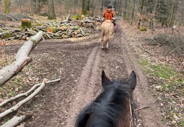 Trail Horseback riding Volksberg - Volksberg - Butten - Photo
