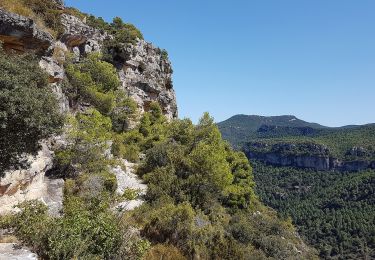 Trail On foot Cornudella de Montsant - Blue-Yellow - Photo