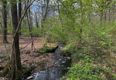 Trail Walking Ohey - SityTrail - 2682999 - promenade-des-petits-pontsx-bois-dxohey - Photo