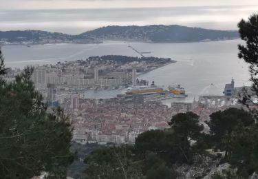 Tour Wandern Toulon - Le pharaon par la corniche fabre - Photo