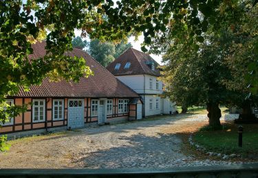 Excursión A pie Göhrde - Naturlehrpfad Naturum Göhrde - Photo