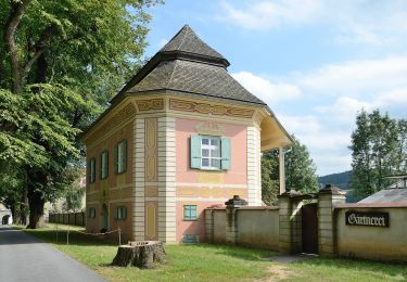 Trail On foot Vorau - Erzherzog Johann Weg - Photo