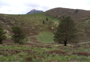 Tocht Stappen Orcines - Puys de Dôme et Pariou 6.5.24 - Photo