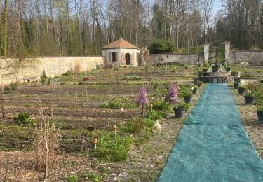 Tour Wandern Évry-Courcouronnes - De grand Bourg à Soisy sur Seine - Photo