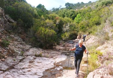 Excursión Senderismo Saint-Raphaël - au coeur de l 'Esterel - Photo