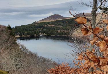 Trail Walking Saulzet-le-Froid - La banne d'Ordanche - Photo