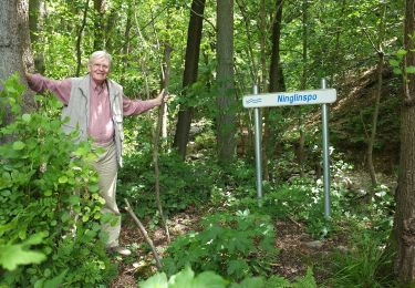 Trail On foot Aywaille - AY20 Roches Crahay - Photo