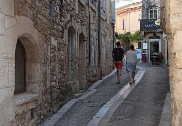 Trail Walking Grignan - Grignan et son chÃ¢teau  - Photo