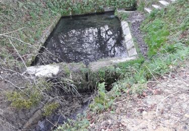 Tocht Stappen Fargues-Saint-Hilaire - circuit de Fargues Saint Hilaire  - Photo