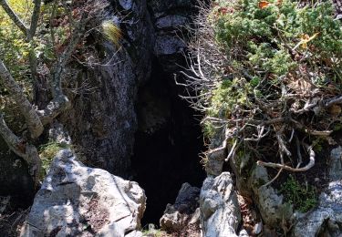 Tocht Stappen Lans-en-Vercors - trou St Michel  - Photo