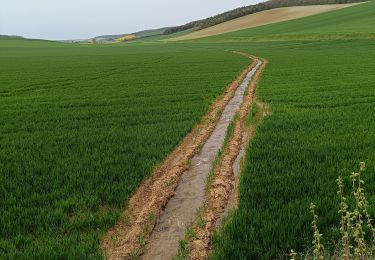 Tour Wandern Vauchassis - Vauchassis petit tour - Photo