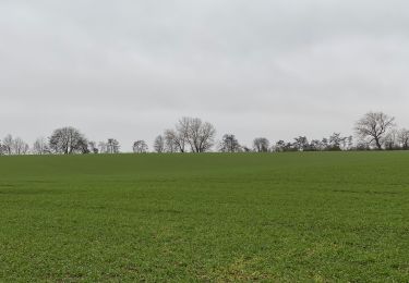 Tour Wandern Boutersem - S-GR Hageland: Vertrijk - Tienen - Photo