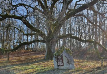 Tocht Stappen Sarroux - Saint-Julien - le site de Saint-Nazaire - Photo