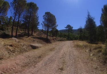 Tocht Mountainbike Saint-Raphaël - activity_9082592241 - Photo