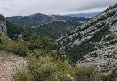 Randonnée V.T.T. Saint-Zacharie - St zacharie - plan d'Aups ste baume - Auriol - Photo