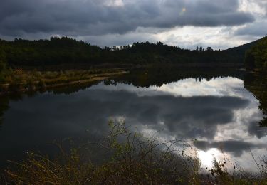 Tour Wandern Fayence - St Paul en Forêt - Lac de Méaulx - Pont de l'Endre - Piste Colle Douce - Photo