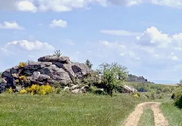 Trail Walking Ludesse - Ludesse_Puy_Gourdon - Photo