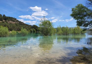 Tour Wandern Quinson - GR4  Jour 4 La Chérine - Sainte Croix du Verdon 20-05-2021  - Photo