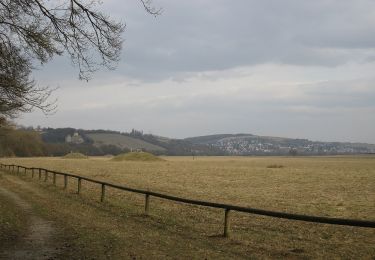 Tour Zu Fuß Sennfeld - Igel-Weg - Photo