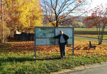 Tocht Te voet Litzendorf - Ellertalwanderung - Photo