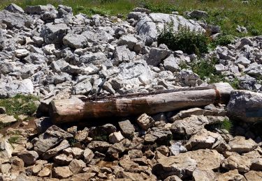 Percorso Marcia Saint-Agnan-en-Vercors - pas de pousterle pas de berrieves depuis pré rateau - Photo