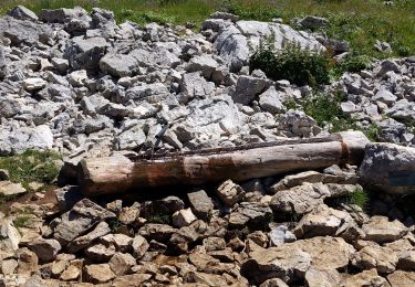 Tocht Stappen Saint-Agnan-en-Vercors - pas de pousterle pas de berrieves depuis pré rateau - Photo