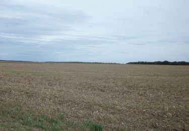 Randonnée Marche Ménesqueville - 20230808-Menesqueville - Photo