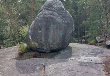 Trail Walking Fontainebleau - franchard  - Photo