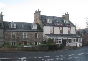 Tour Zu Fuß  - Ballater/Cambus o'May loop - Photo