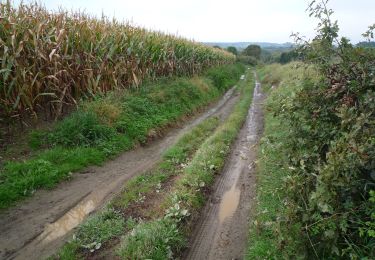 Percorso A piedi Fosses-la-Ville - Mon parcours - Photo