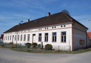 Percorso A piedi Vlkov - [Z] Veselí nad Lužnicí - Vlkov - Photo