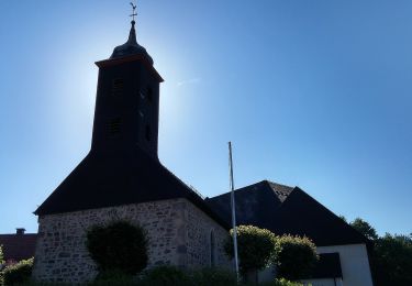 Percorso A piedi Fulda - Rundwanderweg Hockenzahl - Photo