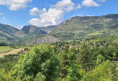 Tour Wandern La Motte-Chalancon - La Motte Chalancon - Plateau de la Chau - Photo