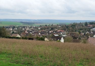 Tour Wandern Sergines - Sergines 240303 - Photo