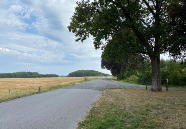 Percorso Marcia Gedinne - Rienne boucle presque complète 23,5 Km  - Photo