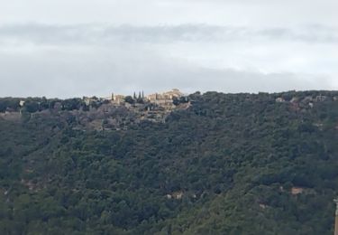 Tocht Stappen Les Mées - Balade des vergers - Photo