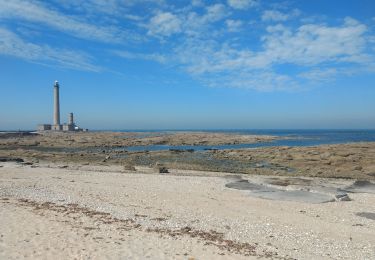 Tocht Stappen Saint-Vaast-la-Hougue - 29 mai 2021 - Photo