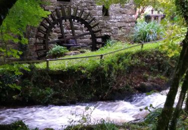 Tour Wandern Saint-Brandan - Au bois de Perche. - Photo