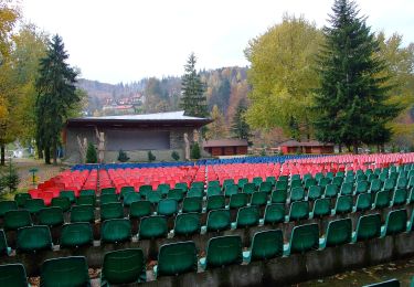 Tour Zu Fuß Brenna - Bajkowy Szlak Utopca - Photo