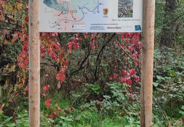 Tour Wandern Lozanne - Lozanne / Anse - Photo