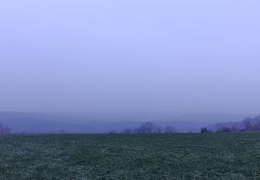 Tocht Stappen Aywaille - balade autour de la fetme de warnoumont  - Photo