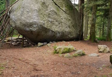 Excursión Senderismo Le Tholy - le trou d enfer - Photo