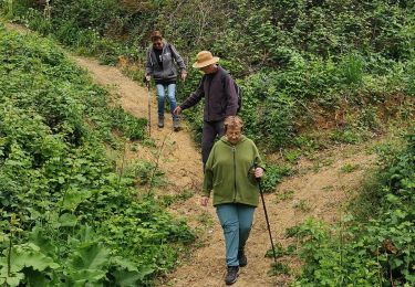 Tocht Stappen Pamiers - JPMPA - Photo