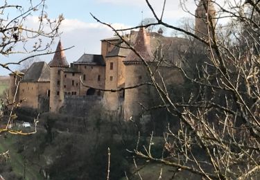 Tour Wandern Porte des Pierres Dorées - Jarnioux (8,5 km - D. 249 m) - Photo
