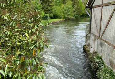 Trail sport Arpajon - Sob bourreau sur juive - Photo