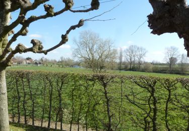 Randonnée A pied Deinze - Vlasrotersroute - Lus 3 - Photo