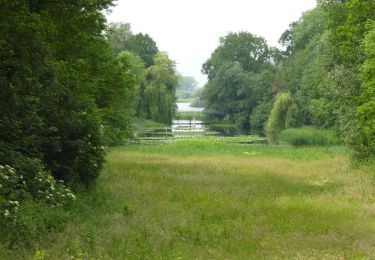 Trail On foot Diksmuide - Blankaartwandelroute - Photo