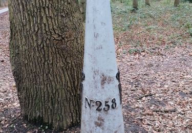 Trail Walking Bergen op Zoom - GR12 Bergen op Zoom naar Kapellen - Photo