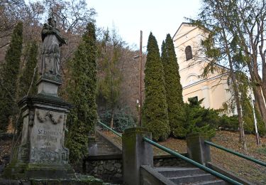 Tour Zu Fuß Mischkolz - Szinva tanösvény - Photo