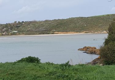 Tour Wandern Hillion - Hillion - Photo